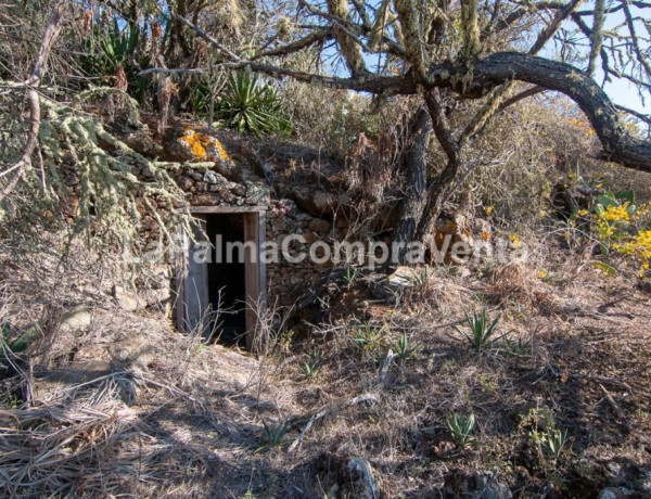 Rustic land For sell in Puntagorda in Santa Cruz de Tenerife 