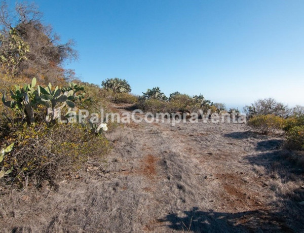 Rustic land For sell in Puntagorda in Santa Cruz de Tenerife 