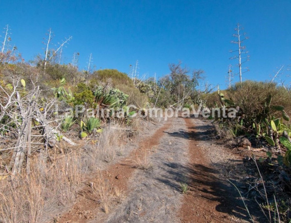 Rustic land For sell in Puntagorda in Santa Cruz de Tenerife 