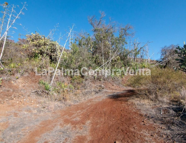 Rustic land For sell in Puntagorda in Santa Cruz de Tenerife 