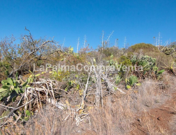 Rustic land For sell in Puntagorda in Santa Cruz de Tenerife 