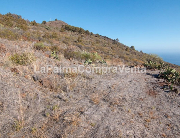 Rustic land For sell in Puntagorda in Santa Cruz de Tenerife 