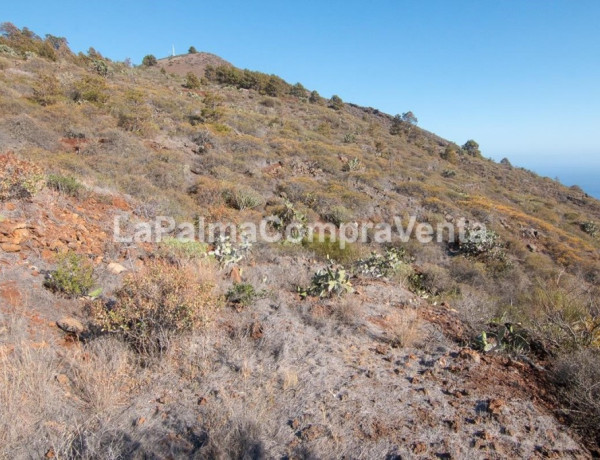 Rustic land For sell in Puntagorda in Santa Cruz de Tenerife 