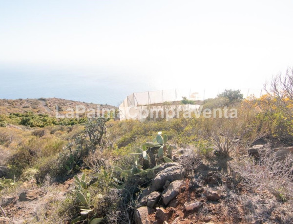 Rustic land For sell in Puntagorda in Santa Cruz de Tenerife 