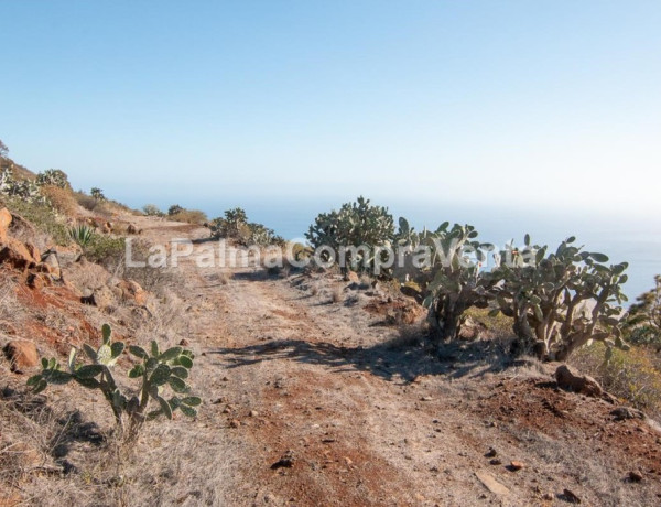 Rustic land For sell in Puntagorda in Santa Cruz de Tenerife 