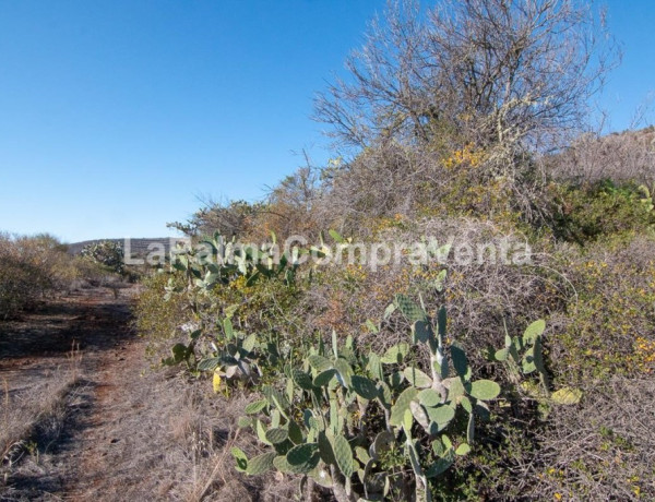 Rustic land For sell in Puntagorda in Santa Cruz de Tenerife 