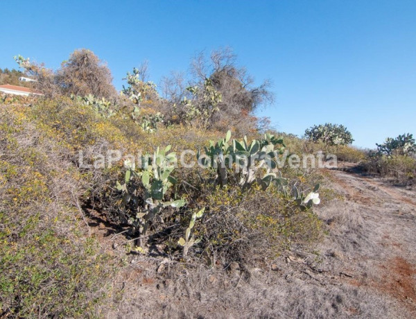 Rustic land For sell in Puntagorda in Santa Cruz de Tenerife 