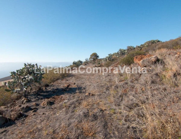 Rustic land For sell in Puntagorda in Santa Cruz de Tenerife 