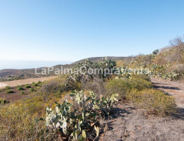 Rustic land For sell in Puntagorda in Santa Cruz de Tenerife 