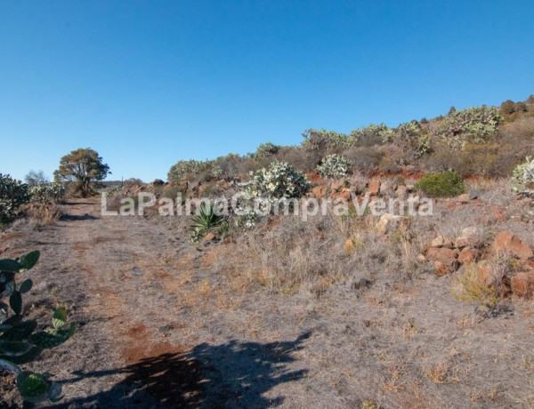 Rustic land For sell in Puntagorda in Santa Cruz de Tenerife 