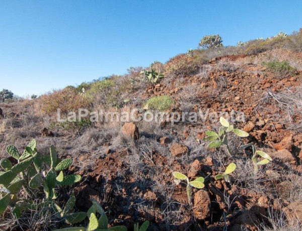 Rustic land For sell in Puntagorda in Santa Cruz de Tenerife 