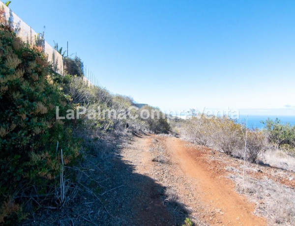 Rustic land For sell in Tijarafe in Santa Cruz de Tenerife 