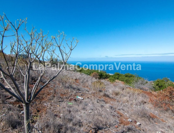 Rustic land For sell in Tijarafe in Santa Cruz de Tenerife 