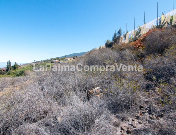 Rustic land For sell in Tijarafe in Santa Cruz de Tenerife 