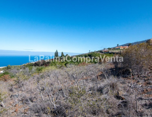 Rustic land For sell in Tijarafe in Santa Cruz de Tenerife 