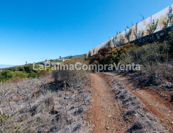 Rustic land For sell in Tijarafe in Santa Cruz de Tenerife 