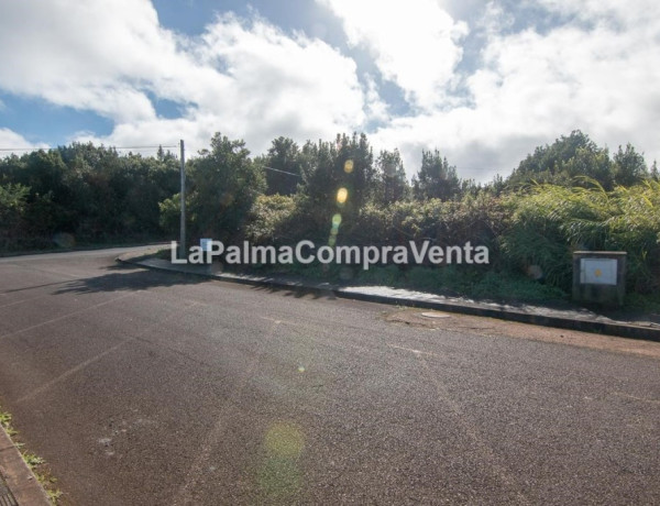 Solar industrial en Venta en Barlovento Santa Cruz de Tenerife 