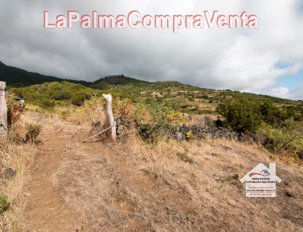 Residential land For sell in Villa De Mazo in Santa Cruz de Tenerife 
