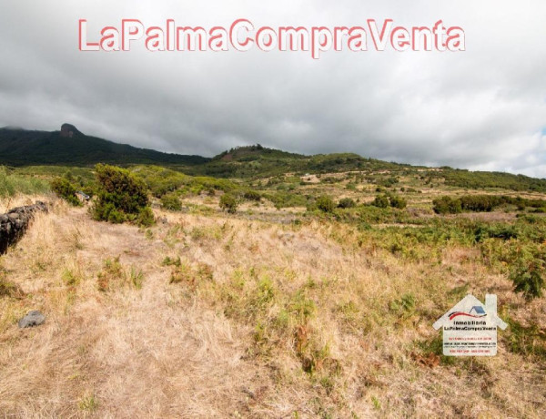 Residential land For sell in Villa De Mazo in Santa Cruz de Tenerife 