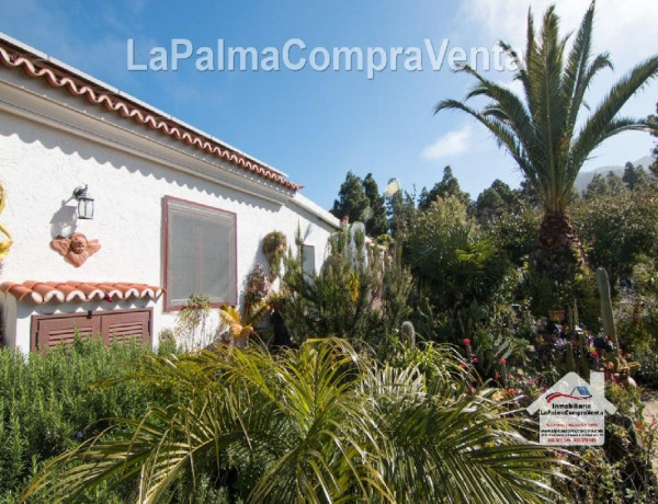 House-Villa For sell in Paso, El in Santa Cruz de Tenerife 