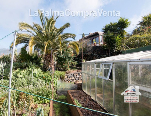 House-Villa For sell in Paso, El in Santa Cruz de Tenerife 