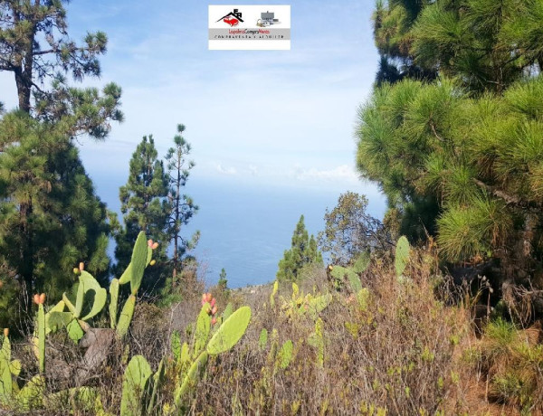 Rustic land For sell in Tijarafe in Santa Cruz de Tenerife 