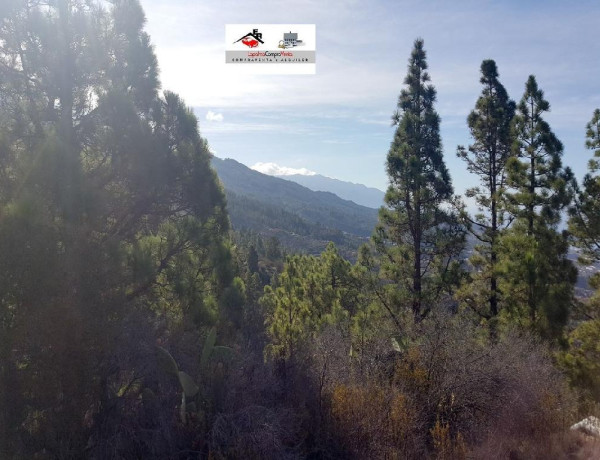 Rustic land For sell in Tijarafe in Santa Cruz de Tenerife 