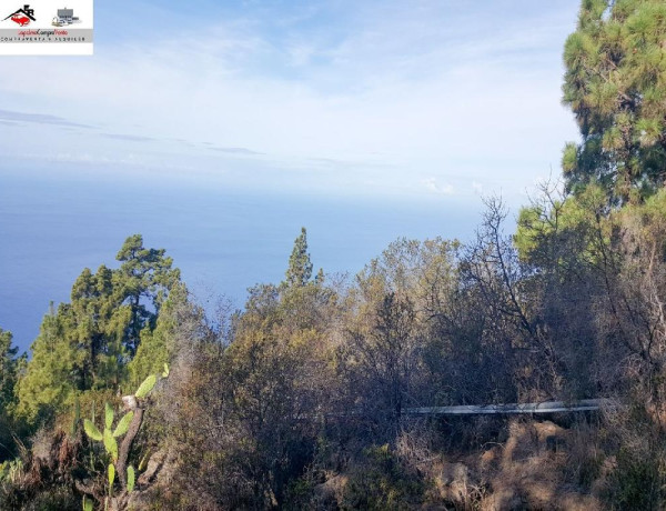 Rustic land For sell in Tijarafe in Santa Cruz de Tenerife 