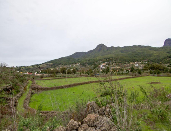 Solar residencial en Venta en Paso, El Santa Cruz de Tenerife