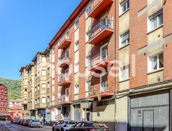 Flat For sell in Mieres in Asturias 