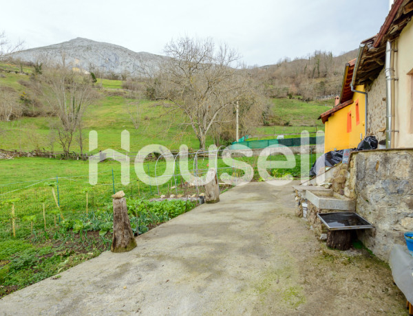 House-Villa For sell in Teverga in Asturias 