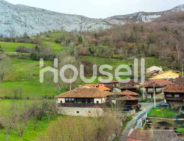 House-Villa For sell in Teverga in Asturias 