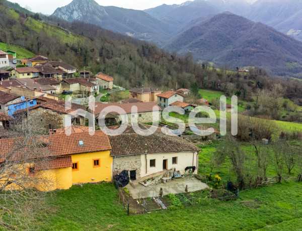 House-Villa For sell in Teverga in Asturias 