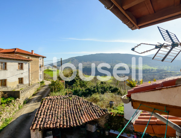 House-Villa For sell in Peñamellera Baja in Asturias 