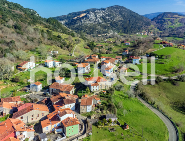 House-Villa For sell in Peñamellera Baja in Asturias 