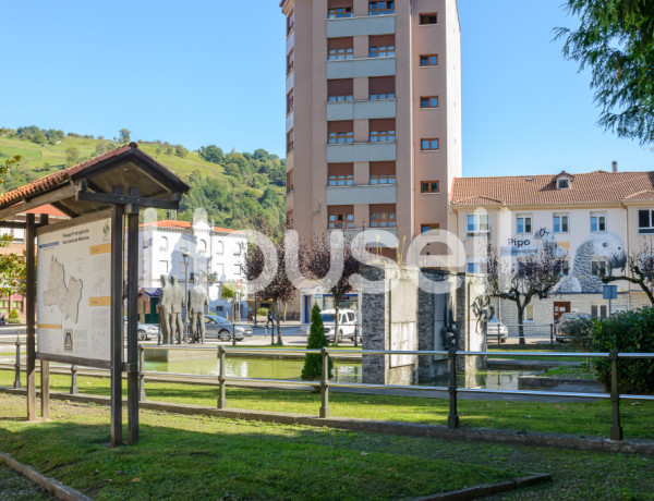 Espectacular casa  de 386 m² de superficie y 664 m²  de parcela en  Calle La Nozaleda, 33900 Langreo (Asturias)