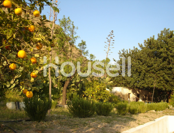 House-Villa For sell in Santa Fe De Mondujar in Almería 