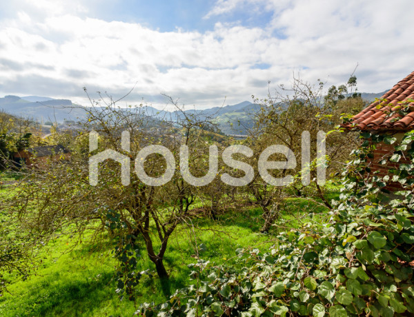Town house For sell in Salas in Asturias 