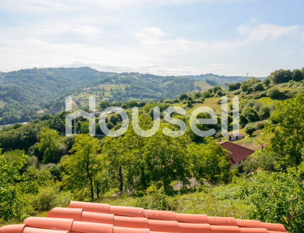 Town house For sell in Bimenes in Asturias 