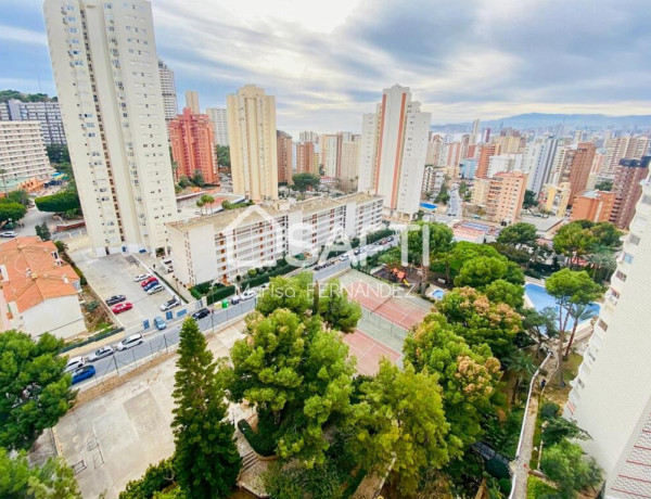 Apartment For sell in Benidorm in Alicante 