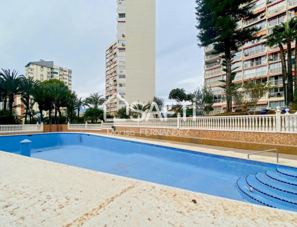 Apartment For sell in Benidorm in Alicante 