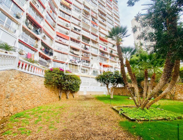 Apartment For sell in Benidorm in Alicante 