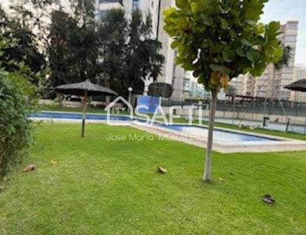 Apartment For sell in Benidorm in Alicante 