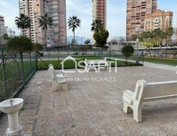 Apartment For sell in Benidorm in Alicante 