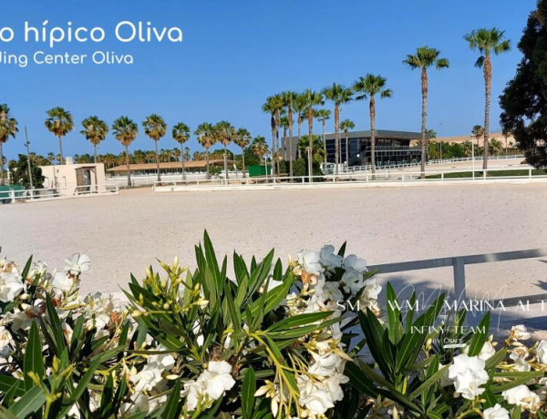 Oliva Nova ¡Oportunidad! Se vende atractivo conjunto de 2 apartamentos en 2da línea de la playa de arena