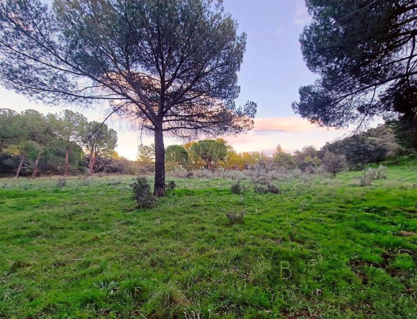 IMPRESIONANTE TERRENO DE 60 HECTÁREAS CON CASA RÚSTICA EN VALDEMORILLO, MADRID.