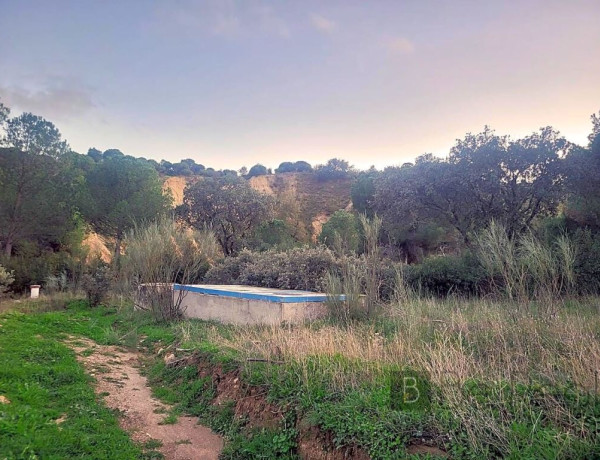 IMPRESIONANTE TERRENO DE 60 HECTÁREAS CON CASA RÚSTICA EN VALDEMORILLO, MADRID.