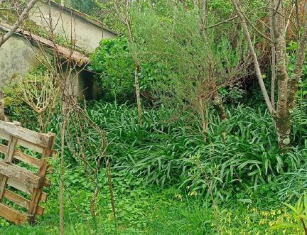 Casa con jardín