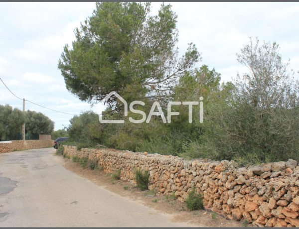 Rustic land For sell in Ciutadella De Menorca in Baleares 