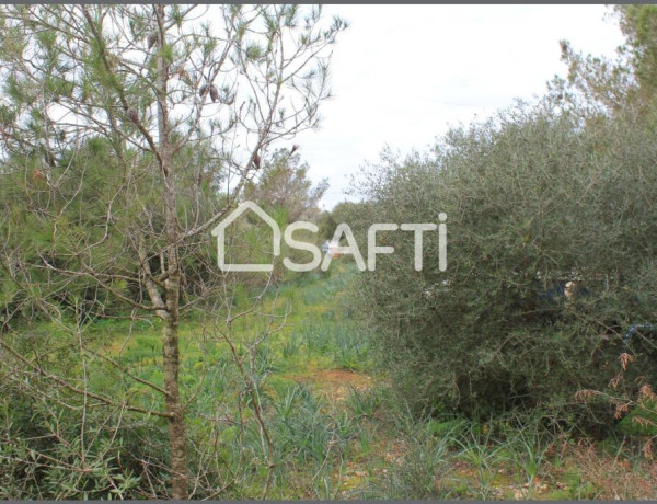 Amplio terreno agrario con pozo propio y mucha vegetacion, a pocos minutos de la playa